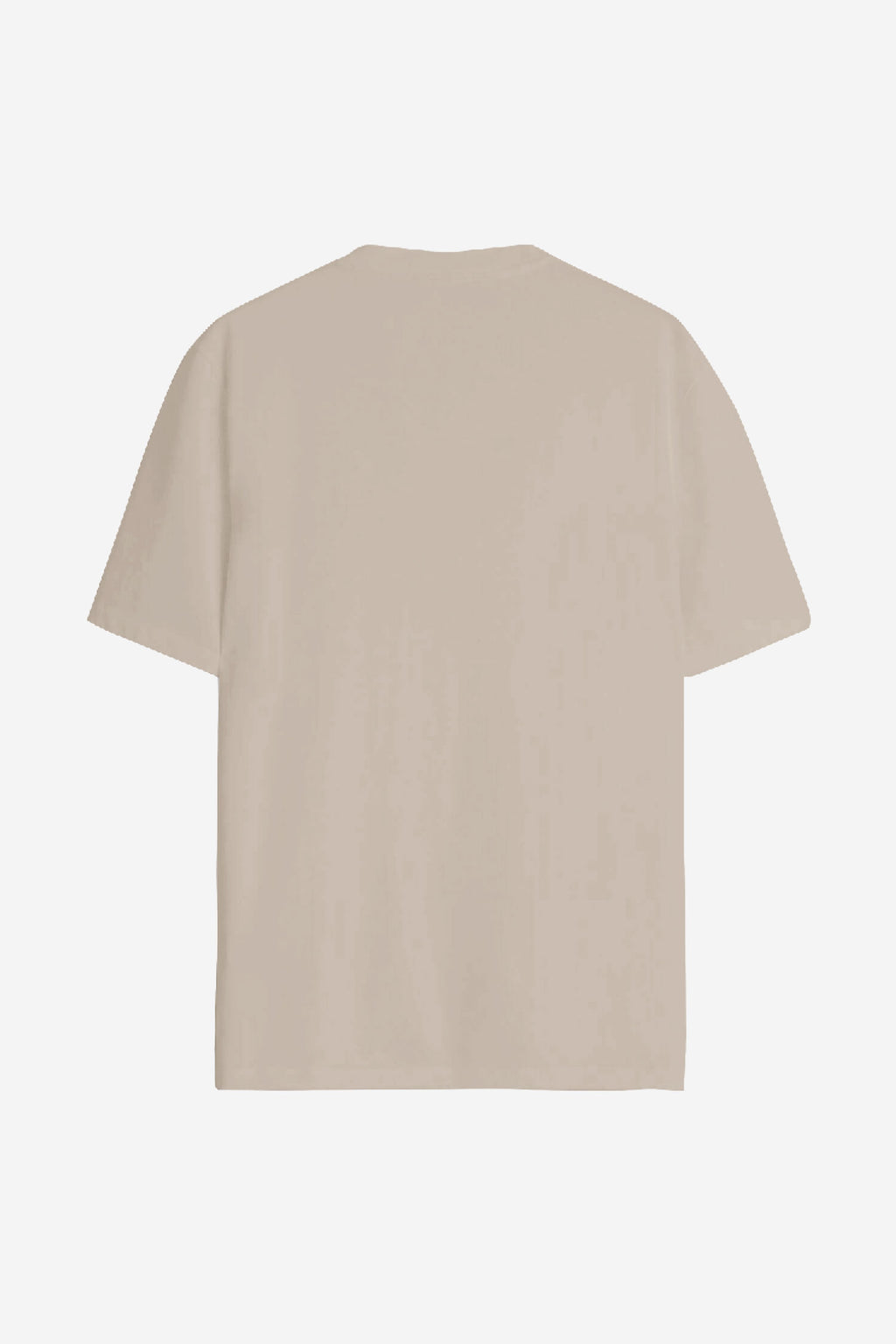 Camiseta Casual Estampada Masculina Acostamento Goanna