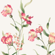 BOTANICAL