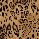 LEOPARDO
